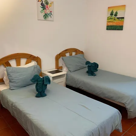 Basement Very Large Fantastic Location Apartment
